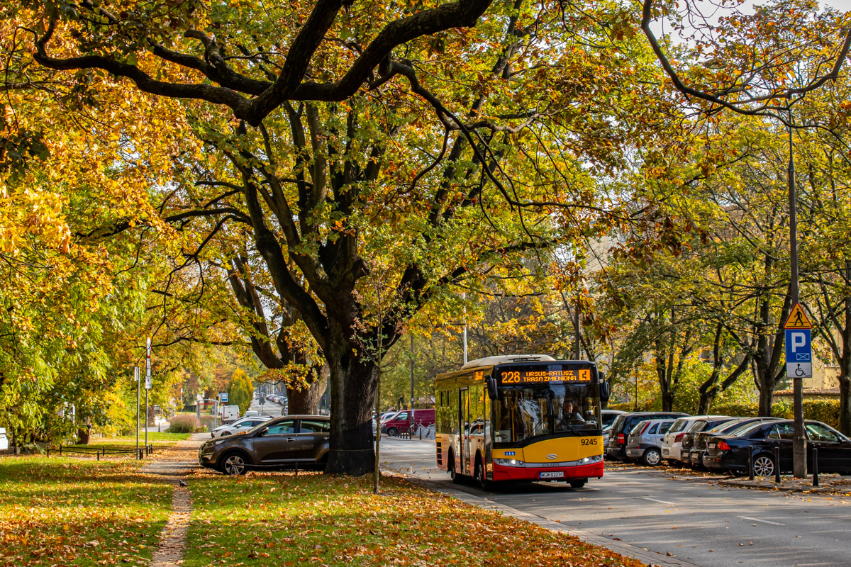 9245
Słowa kluczowe: JesieĹ