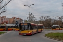 1_Easy-Resize_com.jpg