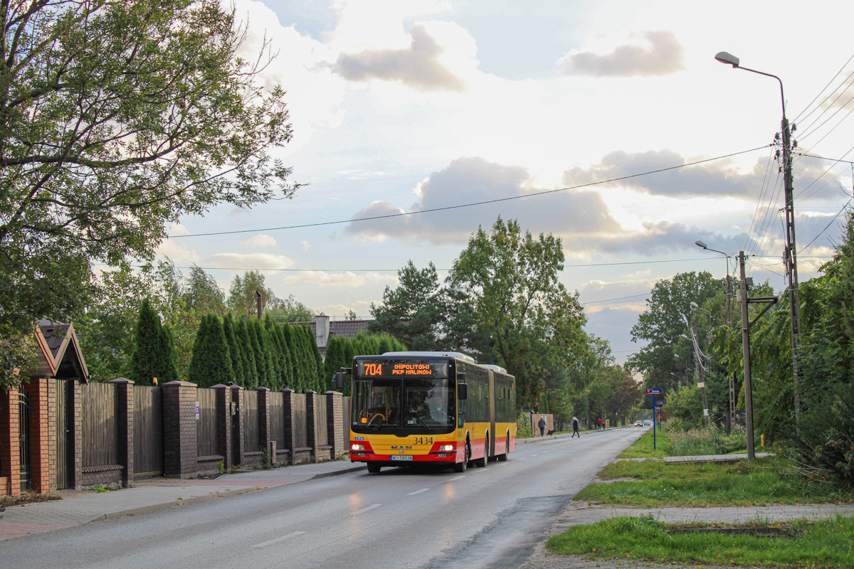 3434
Słowa kluczowe: dziwadĹo