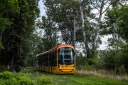 _MG_8598_phototrans.jpg