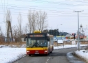 PSX_20210218_104537.jpg