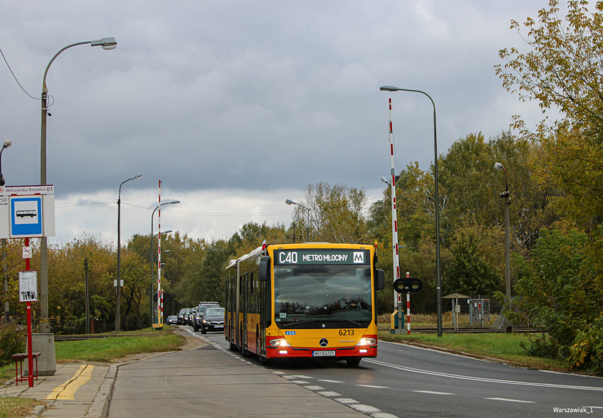 6213
Słowa kluczowe: WĹ2021