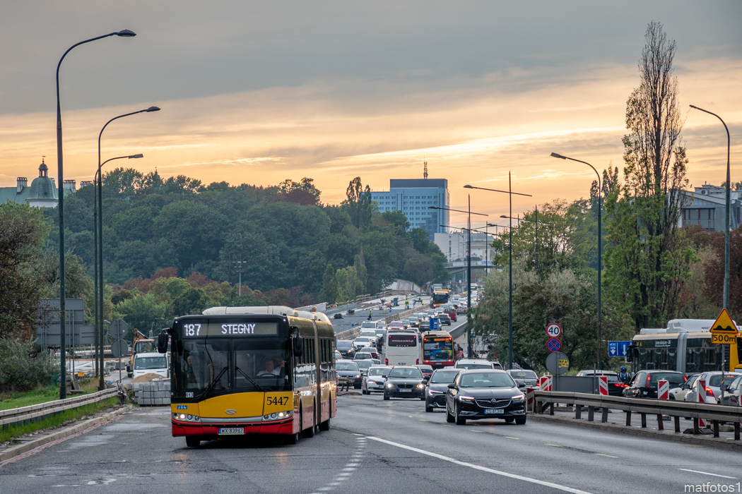 5447
Słowa kluczowe: DziwadĹo