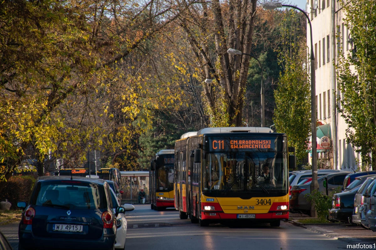 3404
Słowa kluczowe: WĹ2021