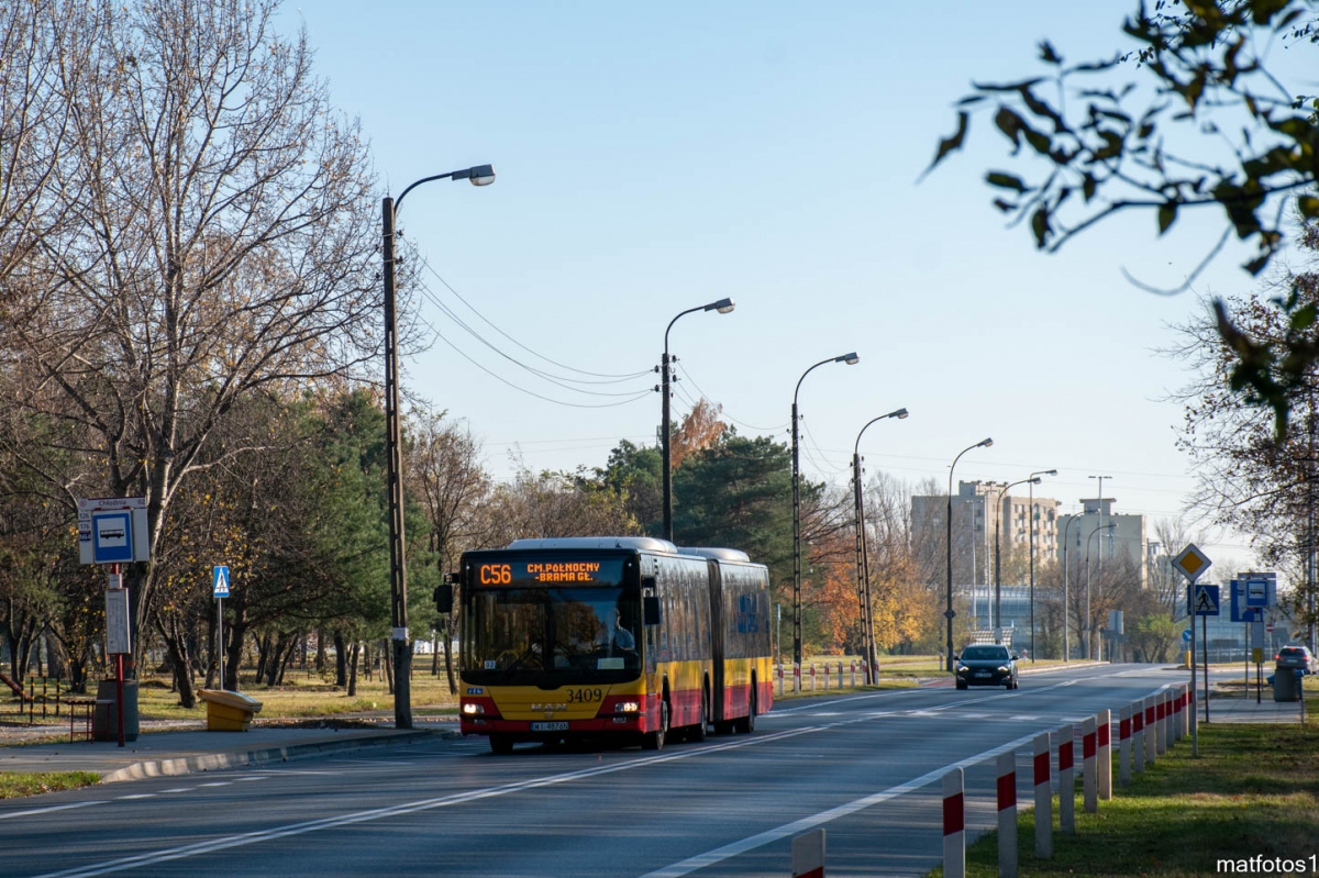 3409
Słowa kluczowe: WĹ2021