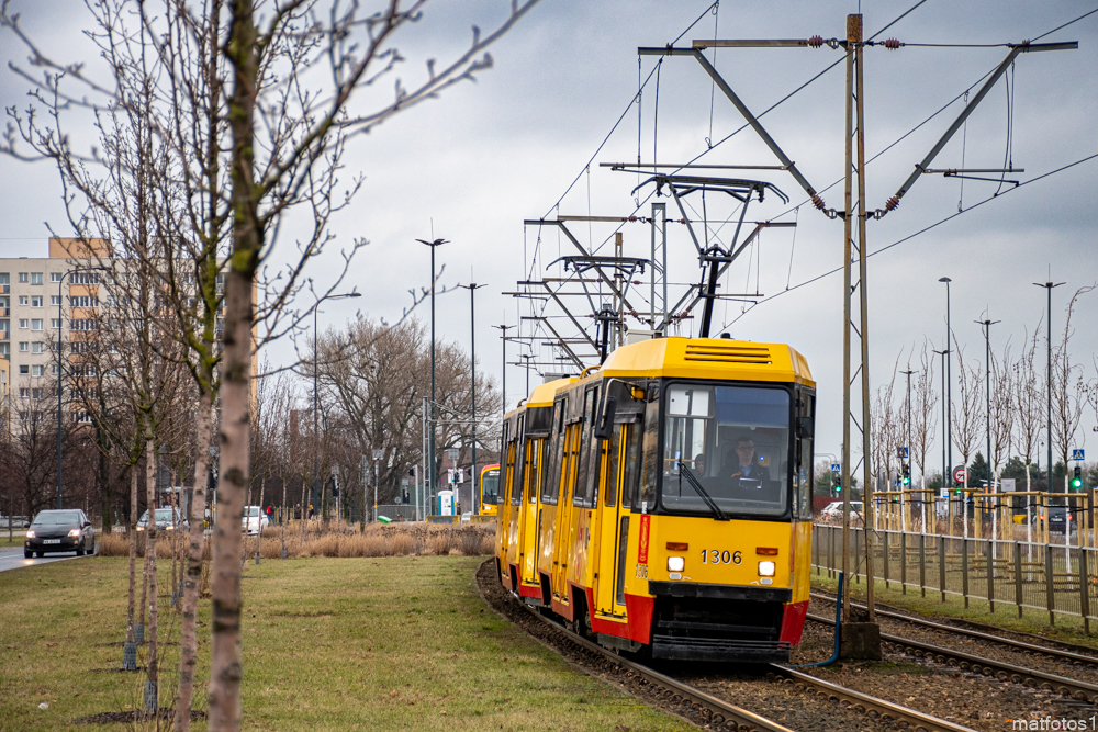 1306
Słowa kluczowe: 105Na