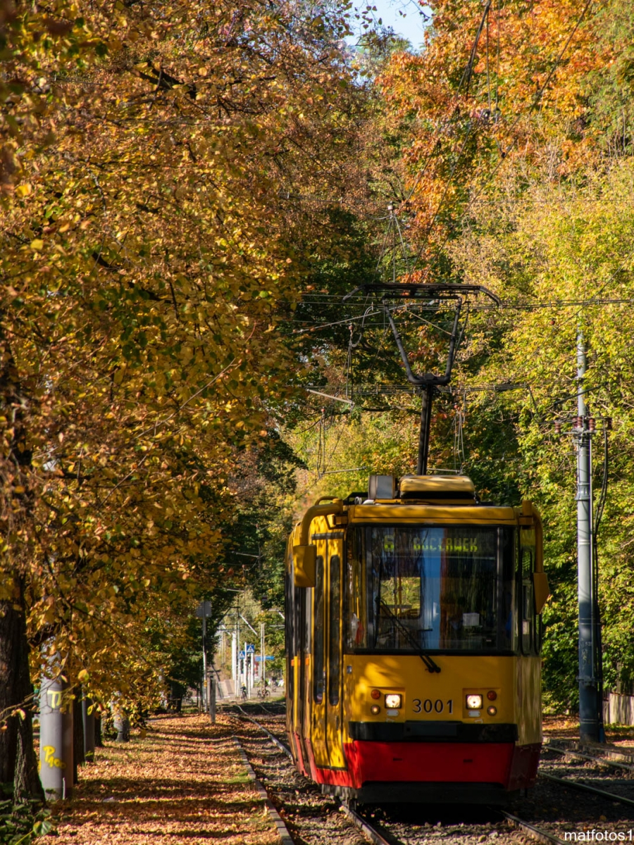 3001
Słowa kluczowe: Natura JesieĹ