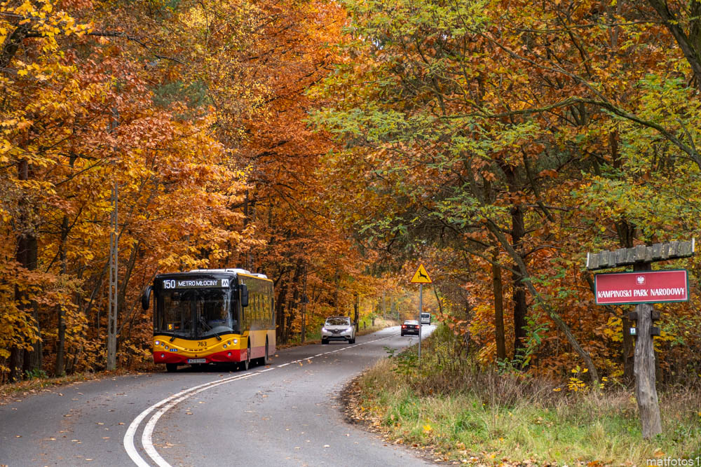 763
Słowa kluczowe: Natura JesieĹ