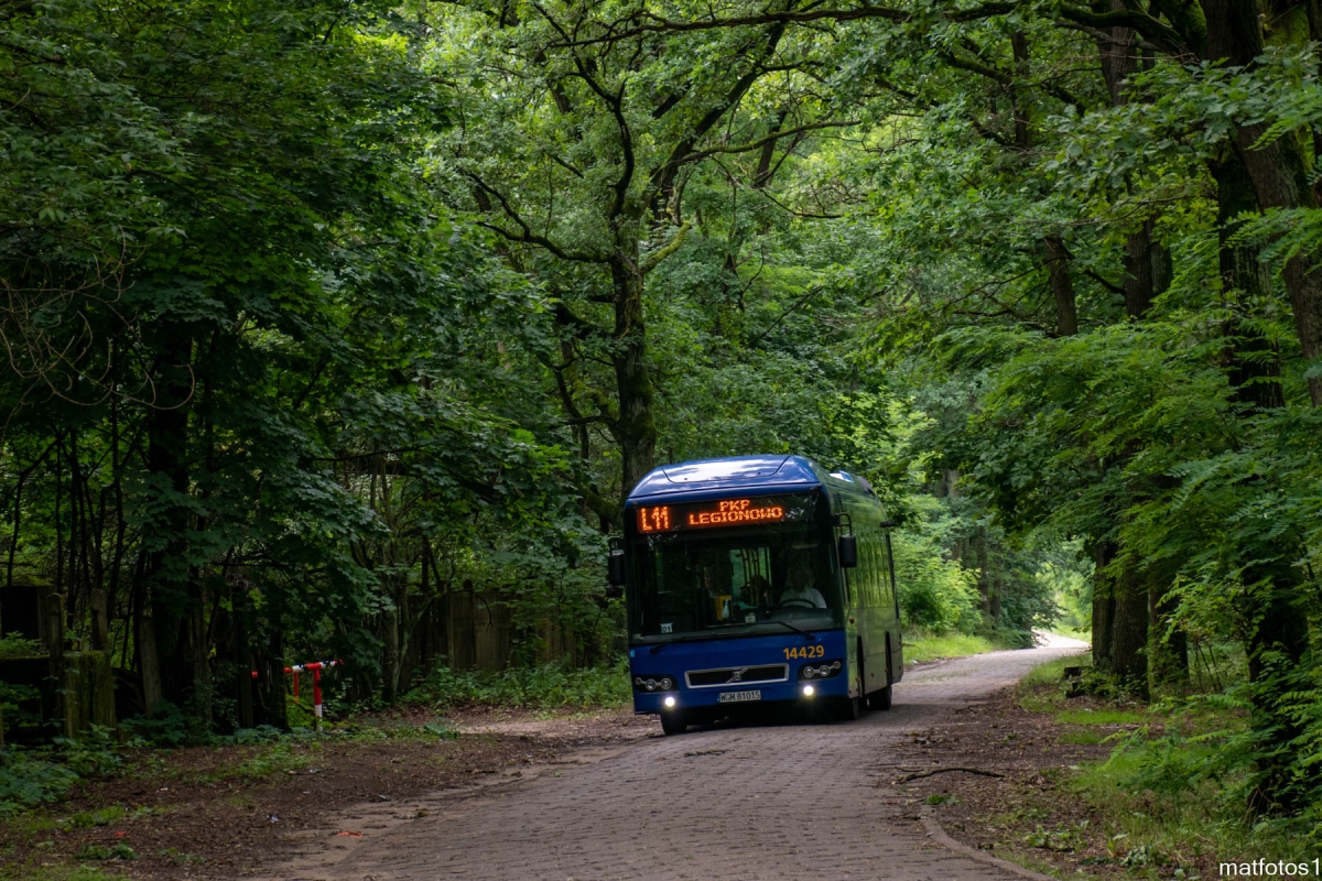 14429
Słowa kluczowe: Trylinka Natura