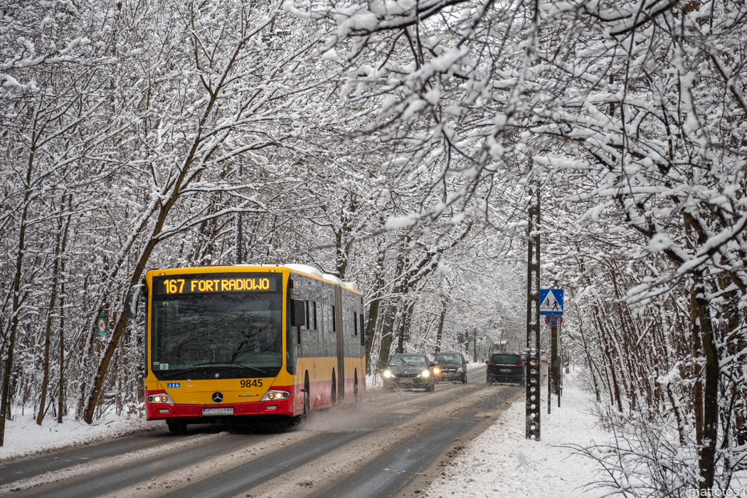 9845
Słowa kluczowe: Zima