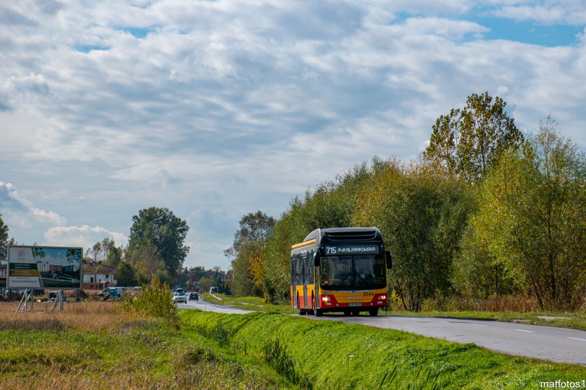 9544
Słowa kluczowe: Natura