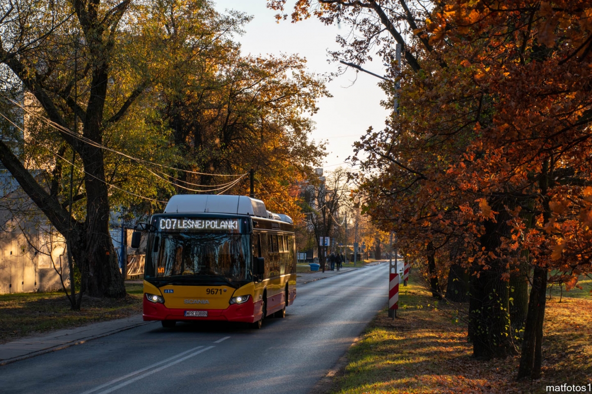 9671
Słowa kluczowe: WĹ2021 Natura JesieĹ