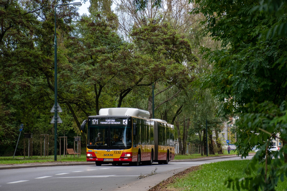 7232
Słowa kluczowe: Natura Objazd