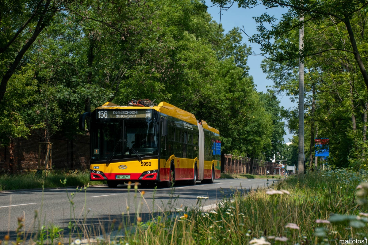 5950
Słowa kluczowe: DziwadĹo Natura
