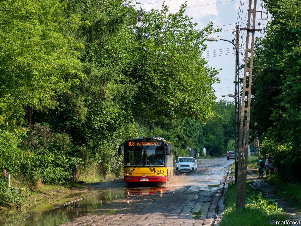 1074
Słowa kluczowe: Trylinka