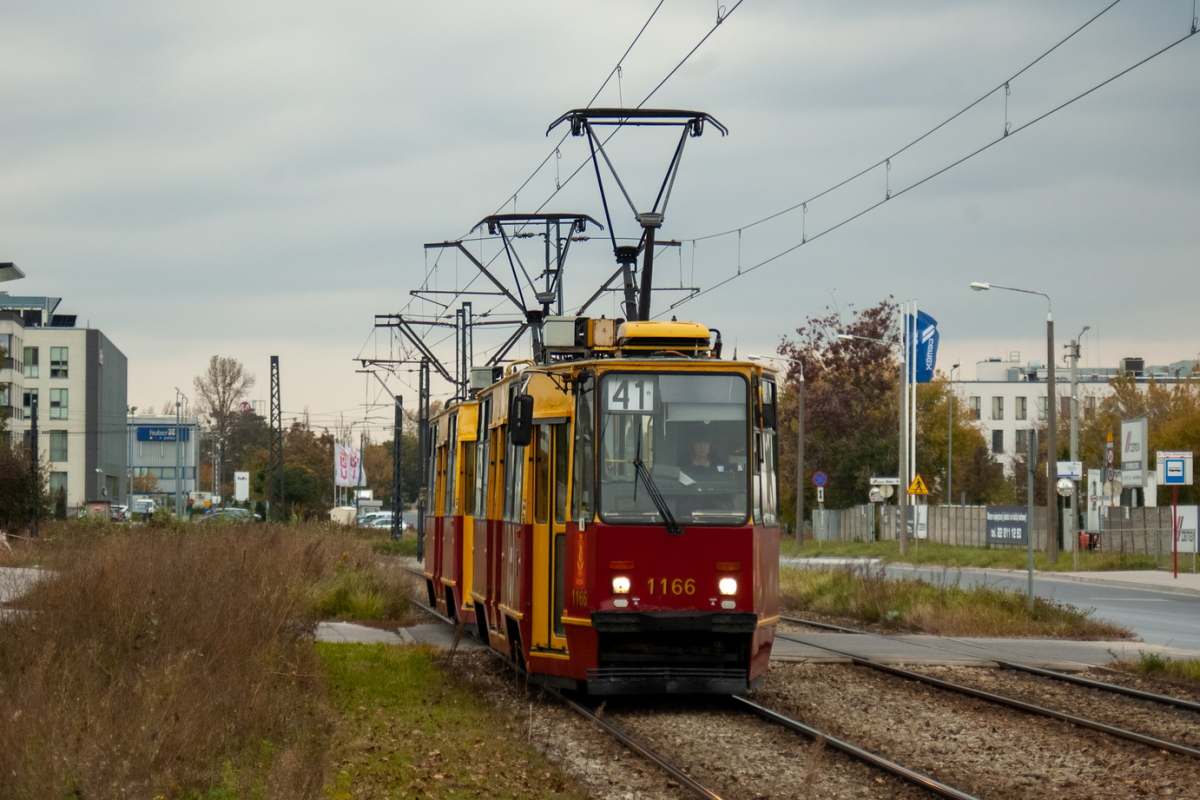 1166+1167
Słowa kluczowe: JesieĹ