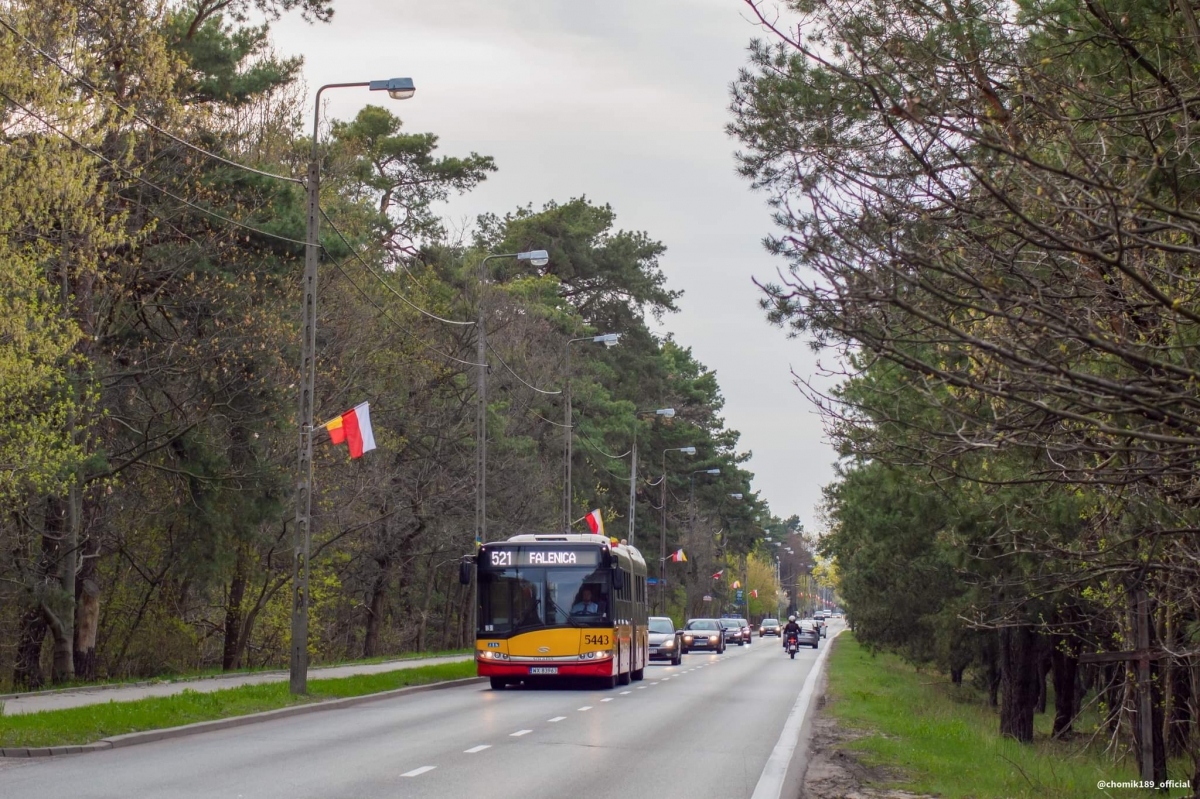5443
Słowa kluczowe: Chojrak DziwadĹo