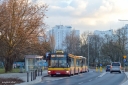 DSC_3810_28129.JPEG