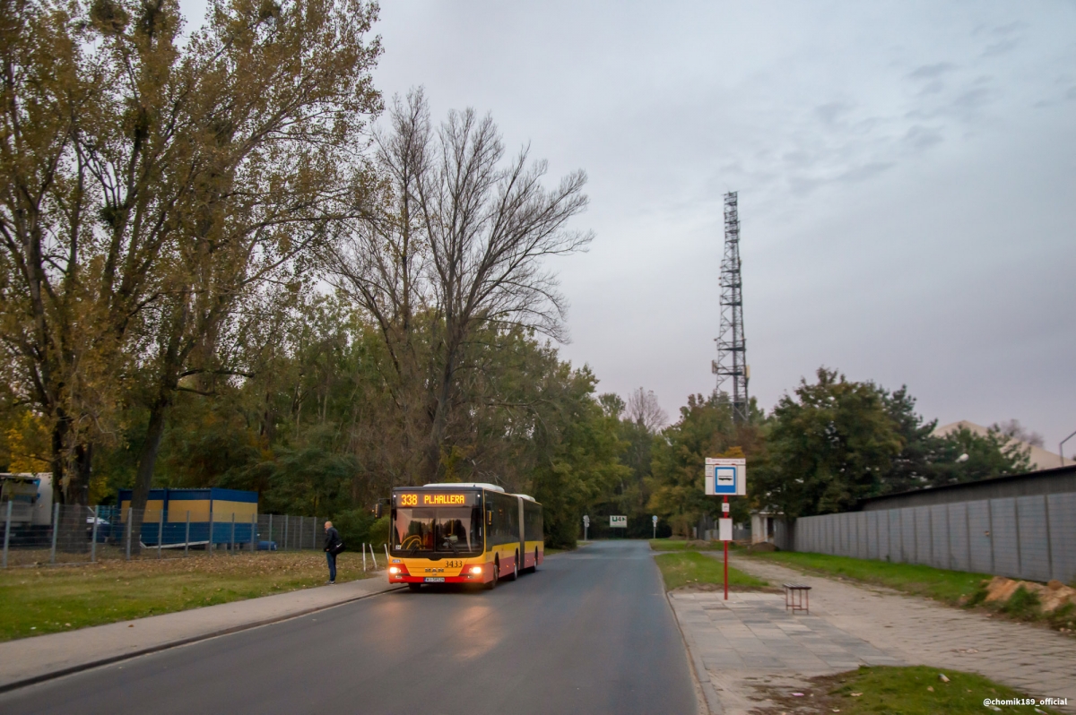 3433
Słowa kluczowe: DziwadĹo
