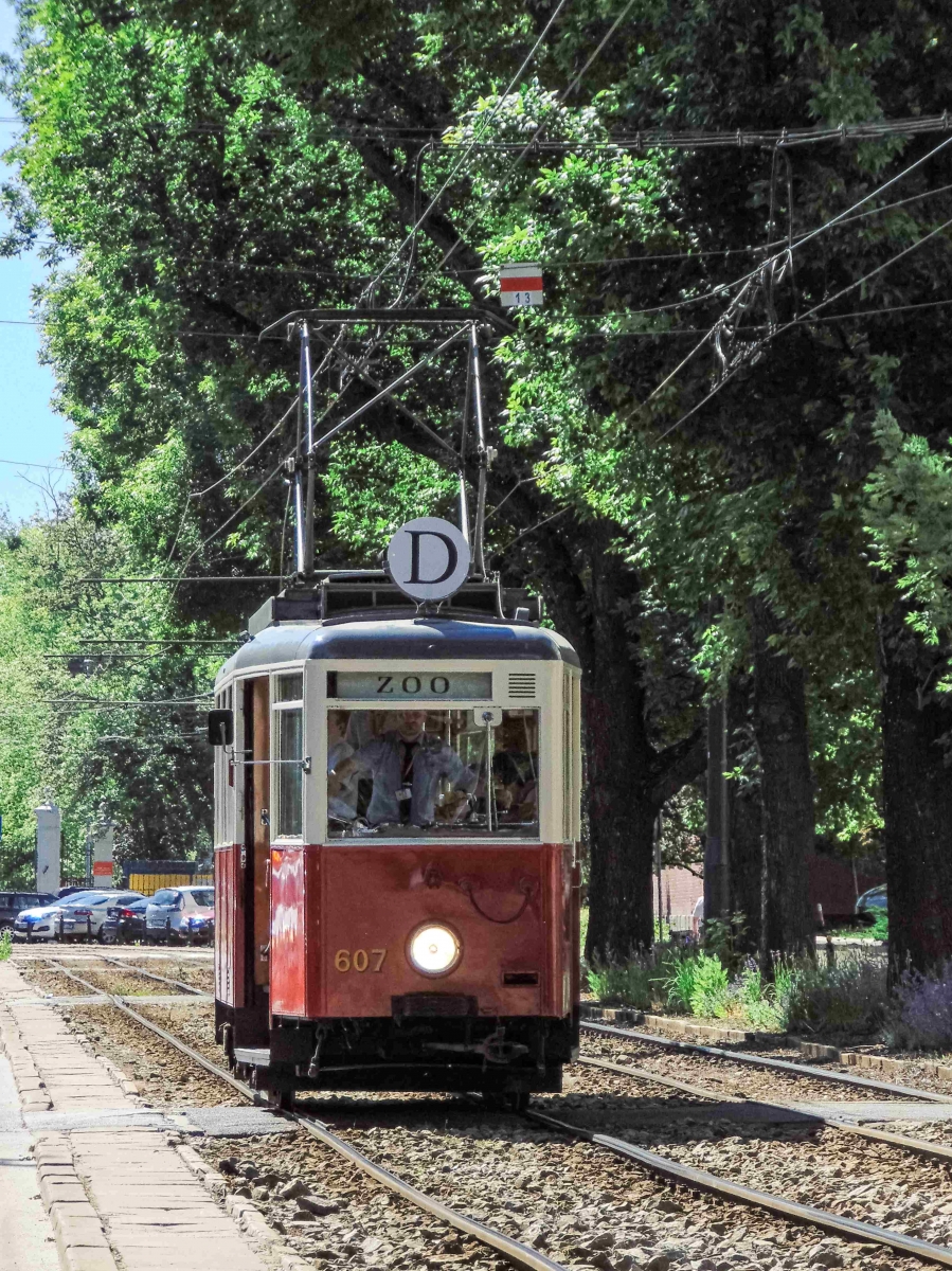 607
Specjalna linia z okazji Dnia Dziecka

