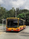 DSC04511.jpg