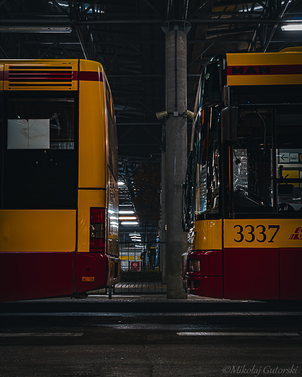 3350 i 3337  
eNGietkĂłw dwĂłch.
Słowa kluczowe: NG313