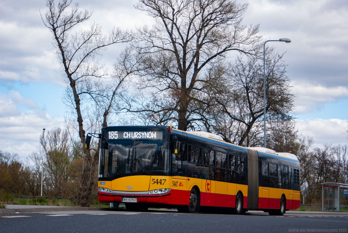 5447
Po sfoceniu #4204 i przejechaniu rowerem przez Las BielaĹski udaĹem siÄ na pÄtlÄ GwiaĹşdzista, gdzie natrafiĹem na Solarisa Urbino 18 ze Stalowej o numerze taborowym #5447 odpoczywajÄcym przed kursem na linii 185. Na uwagÄ zasĹugujÄ tu Ĺadnie udekorowane lusterka z wykrzyknikami i numerami taborowymi, ktĂłre dodajÄ wozowi +10 do piÄknoĹci. 
