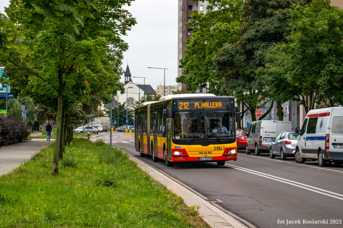 3463
Słowa kluczowe: DziwadĹo
