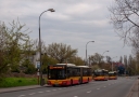 P4263084.jpg