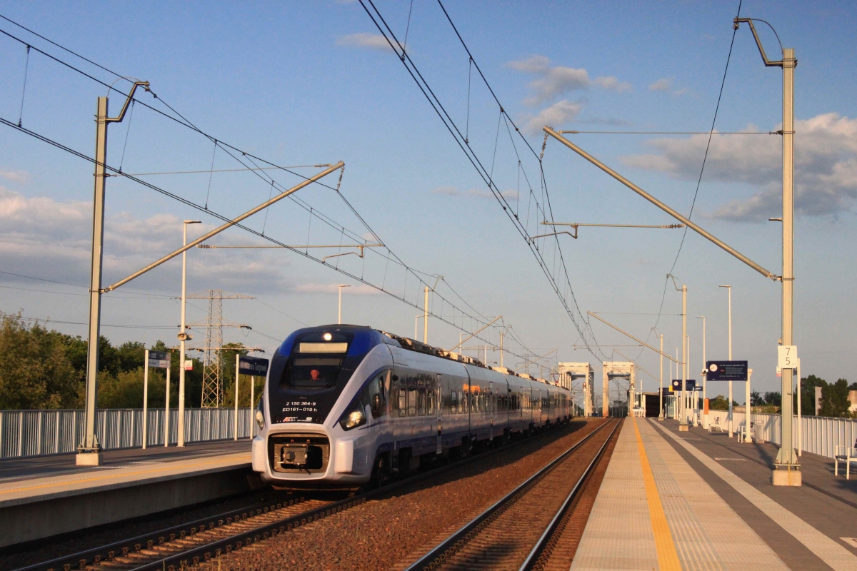 ED161-019
