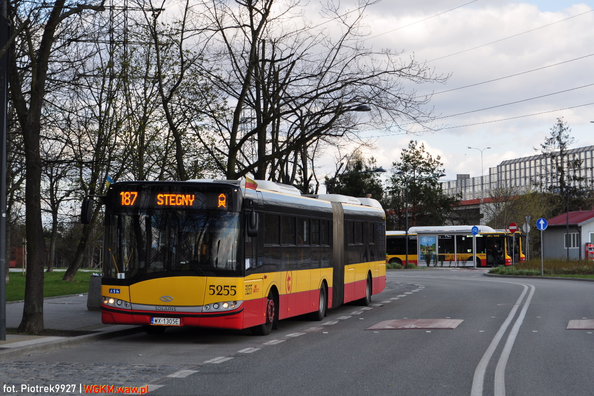 5255
Jamniczek z Kleszczowej odbywa swoje 12-sto minutowÄ przerwÄ na kraĹcu Ursus-NiedĹşwiadek.
Pozdrowienia dla kierowcy za miĹÄ pogawÄdkÄ :)
