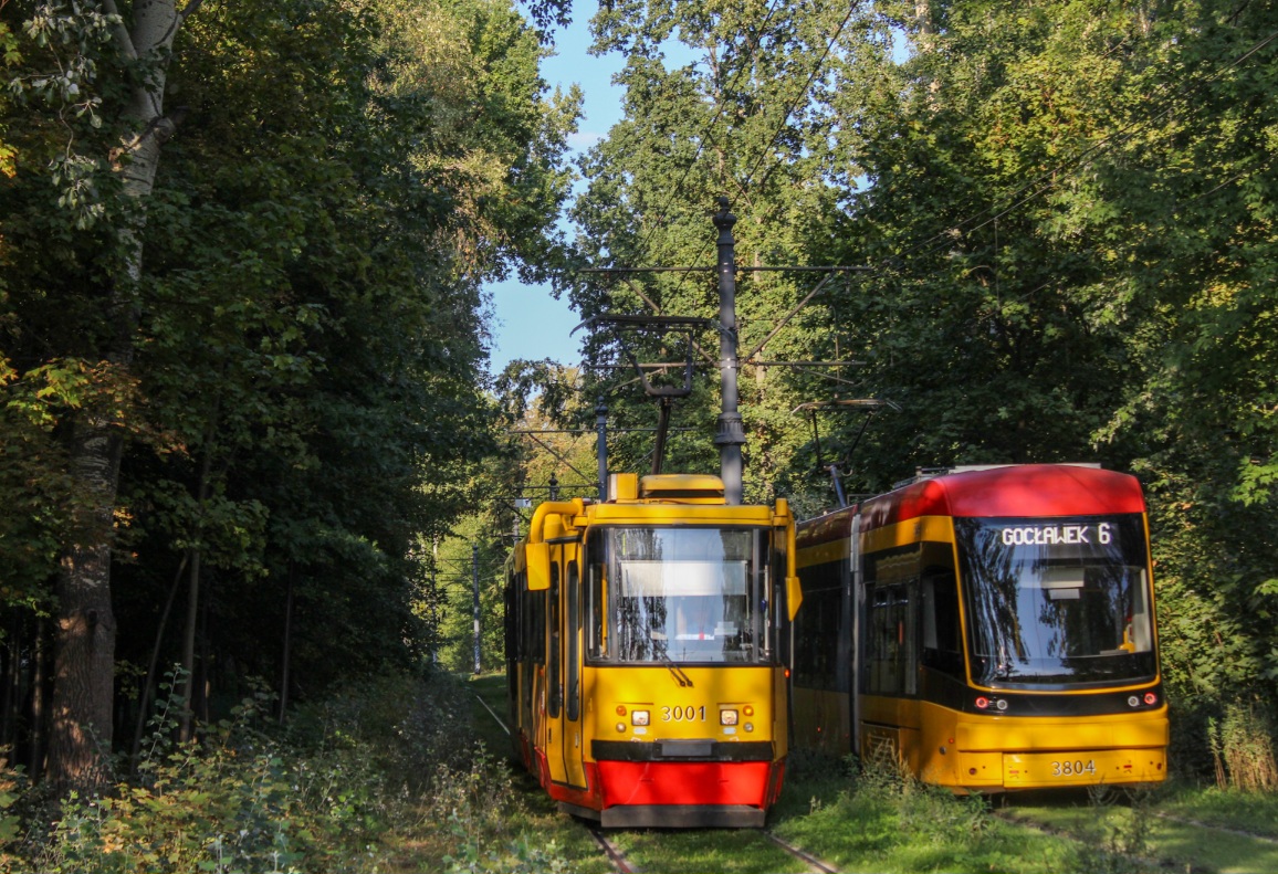 3001
Słowa kluczowe: DTP2024