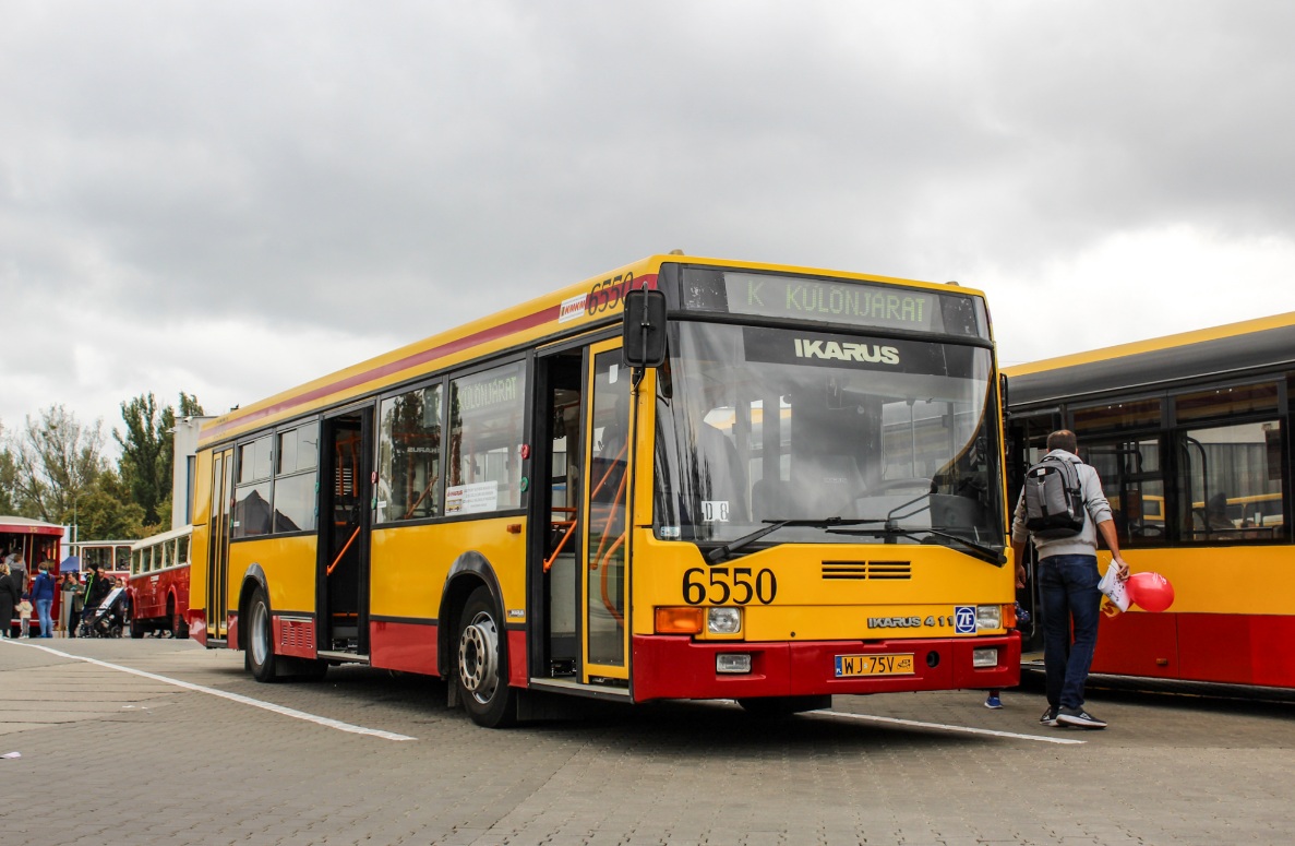 6550
Słowa kluczowe: IK411 DTP2022