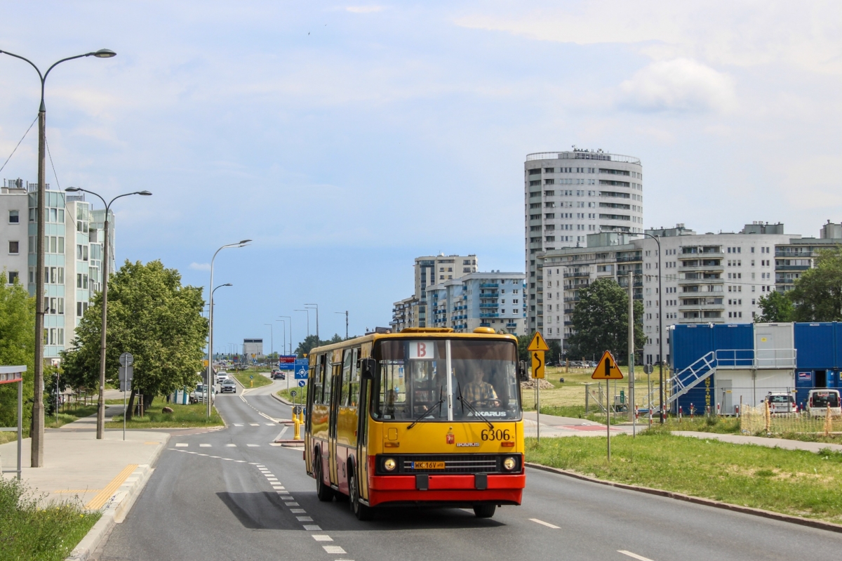 6306
Słowa kluczowe: IK260