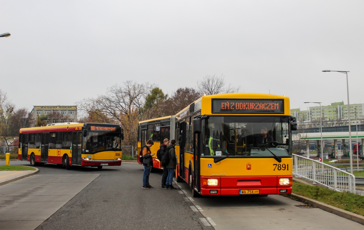 7891
Słowa kluczowe: M181
