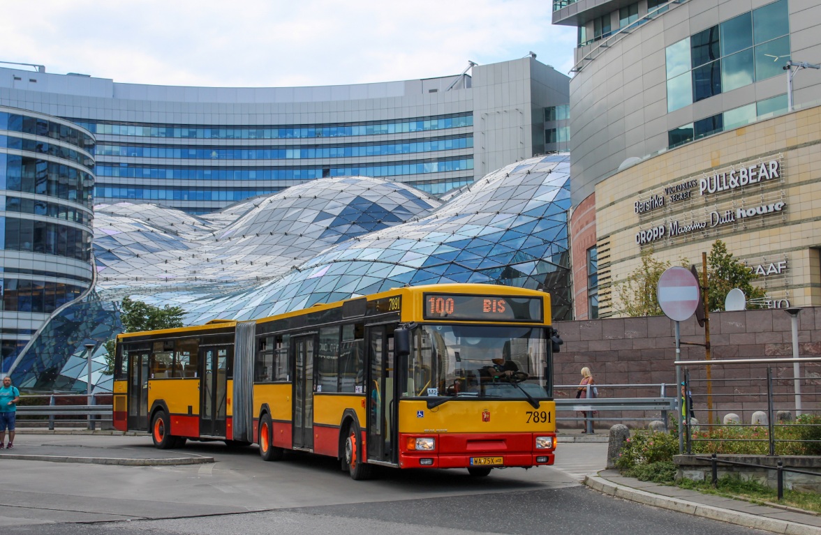 7891
Słowa kluczowe: M181
