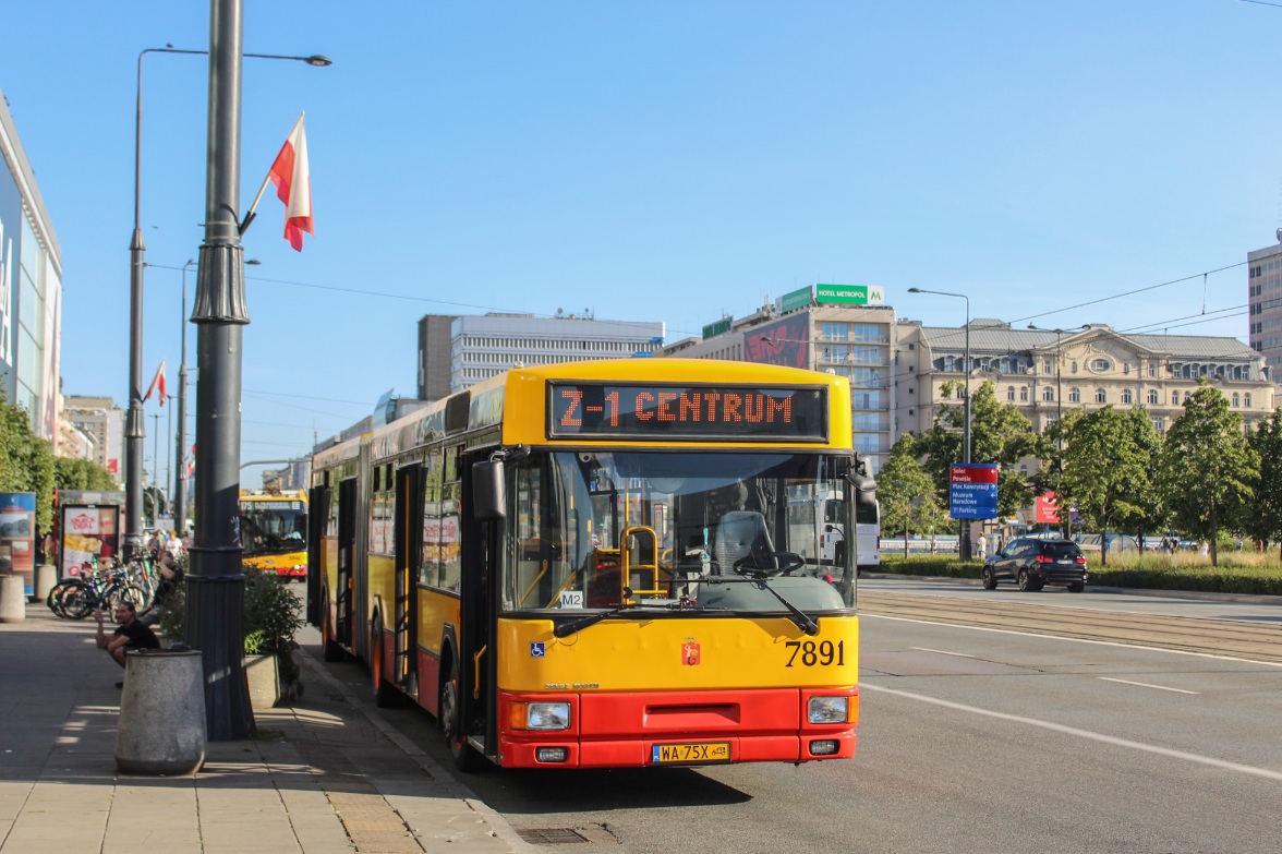 7891
Słowa kluczowe: M181