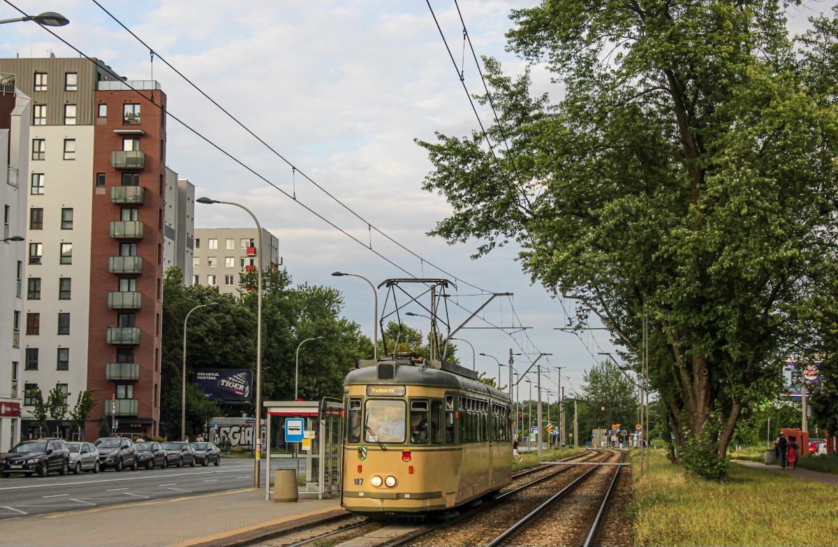 187
Słowa kluczowe: WLT2024