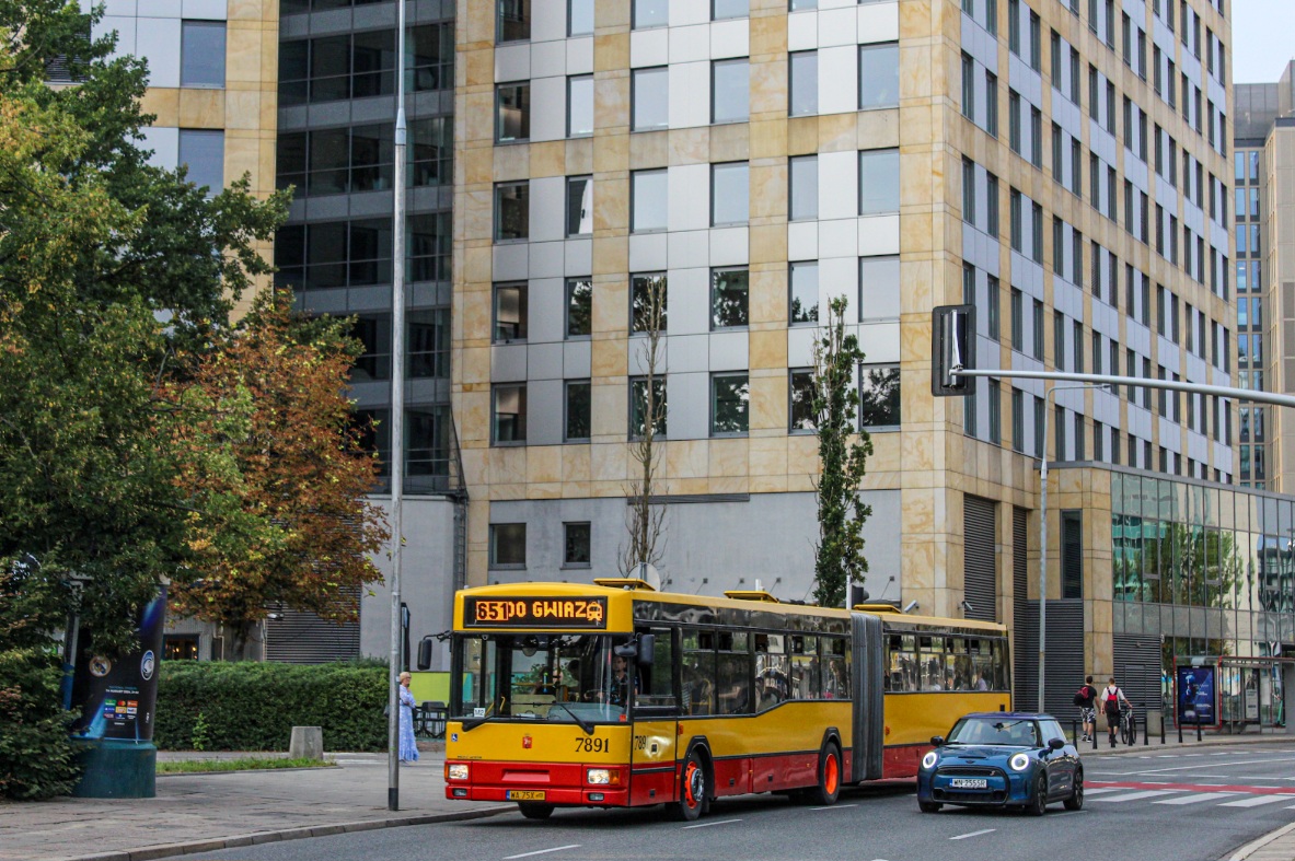 7891
Słowa kluczowe: M181