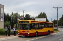 IMG_6223.jpg