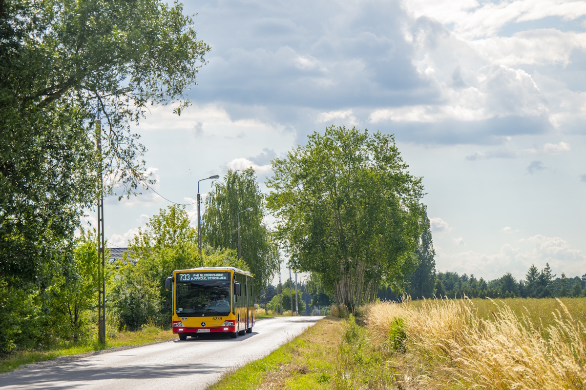6239
Kotenko przemierzajÄce w polach kursem wariantowym.
