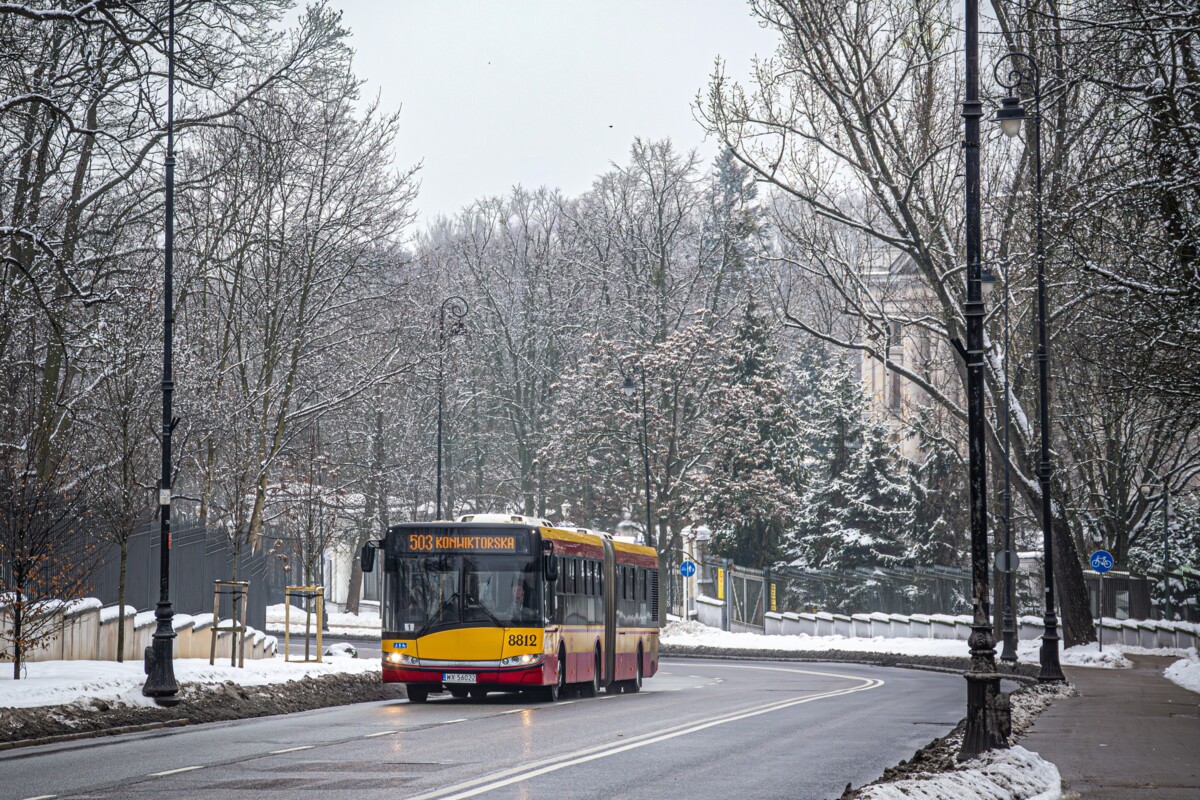 8812
Słowa kluczowe: Zima