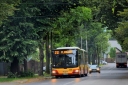 212-4.jpg