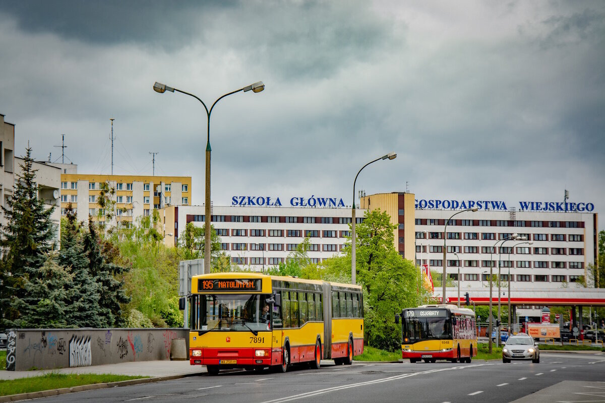 7891
Słowa kluczowe: M181 Architektura