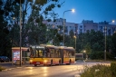 7304.jpg