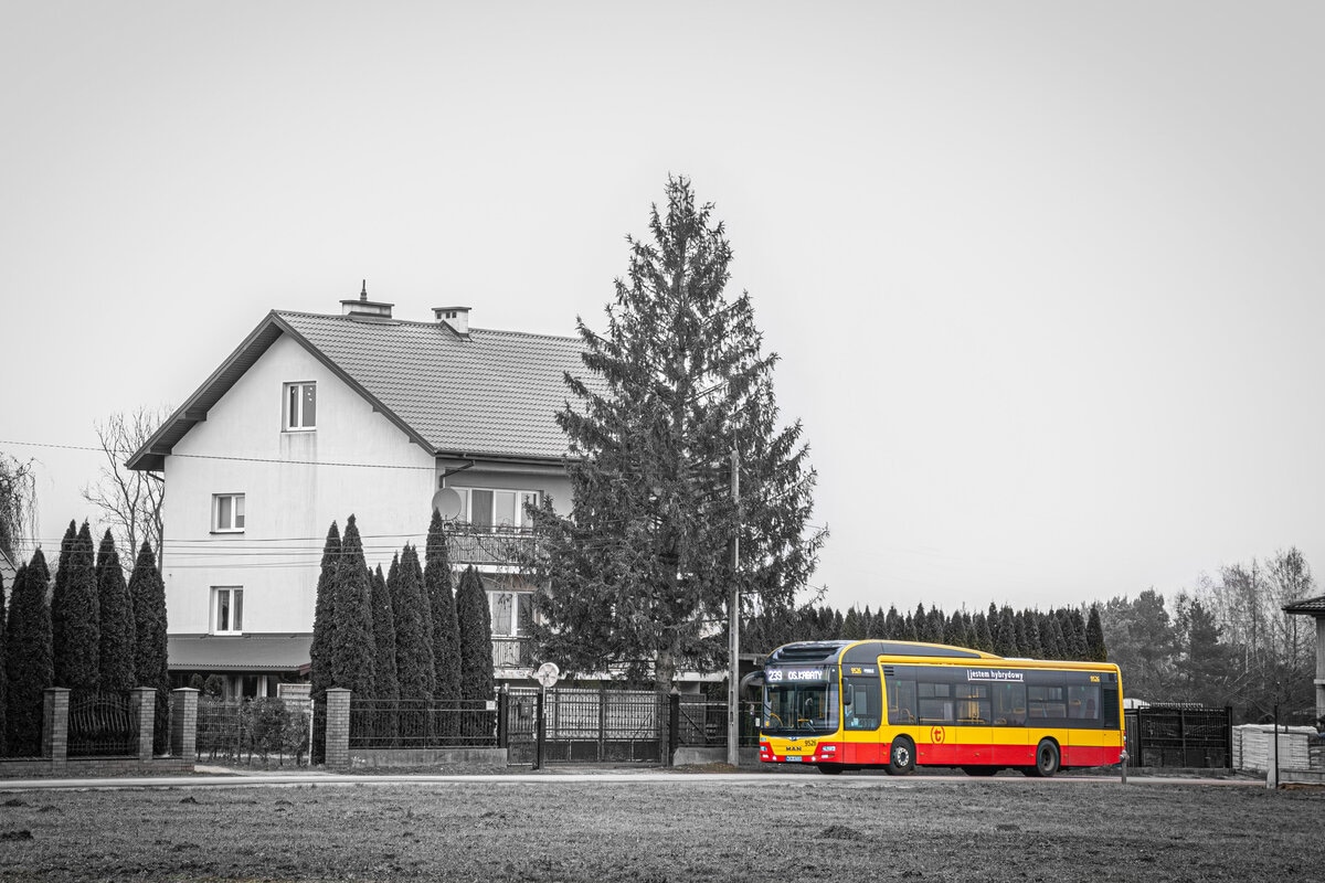 9526
Słowa kluczowe: DziwadĹo