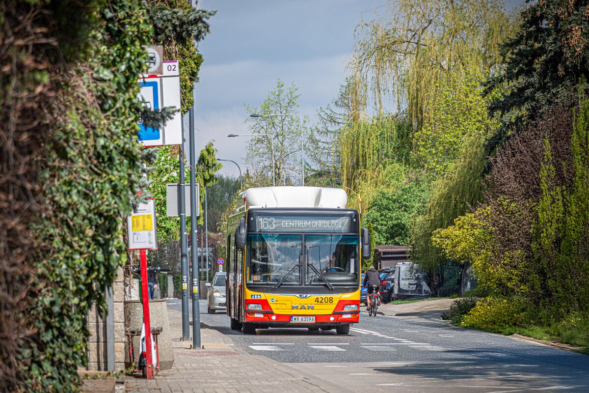 4208
Słowa kluczowe: DziwadĹo
