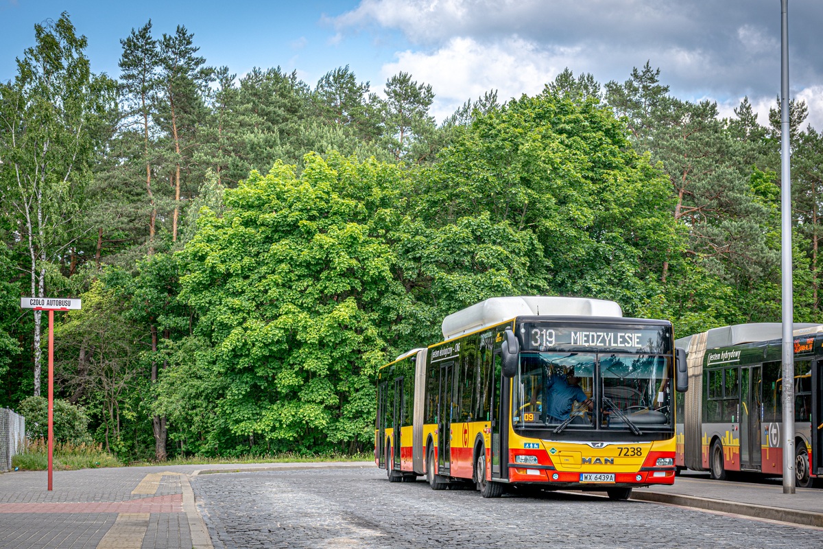 7238
Słowa kluczowe: DziwadĹo