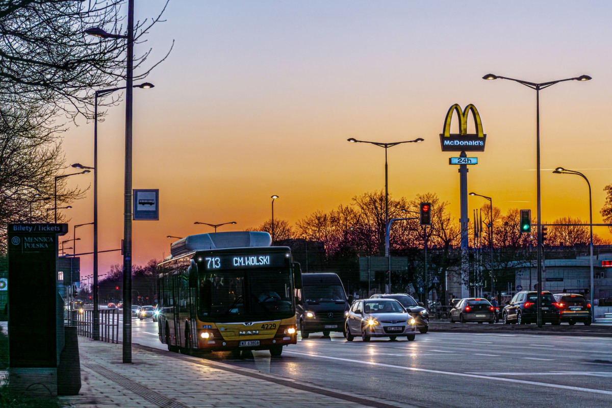 4229
Słowa kluczowe: ZachĂłd