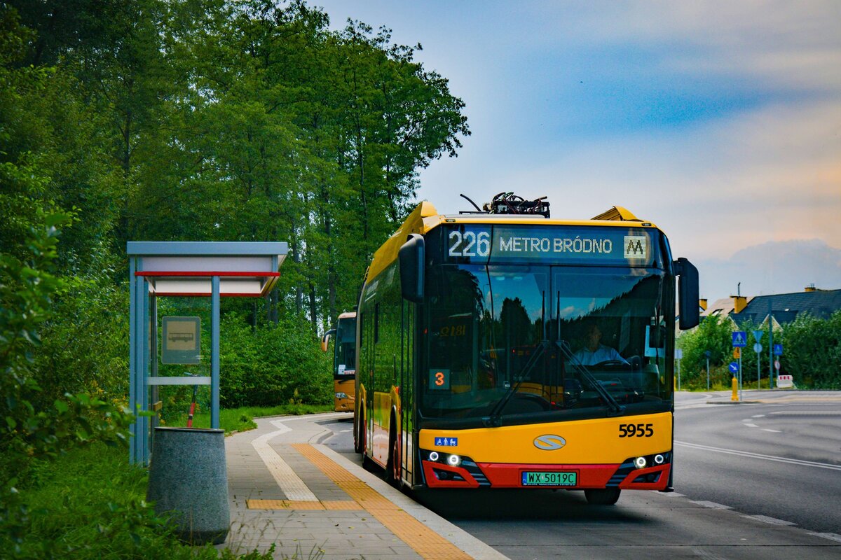 5955
Słowa kluczowe: DziwadĹo